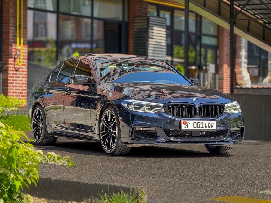 BMW 5 series: 2019 г., Седан: фото 3