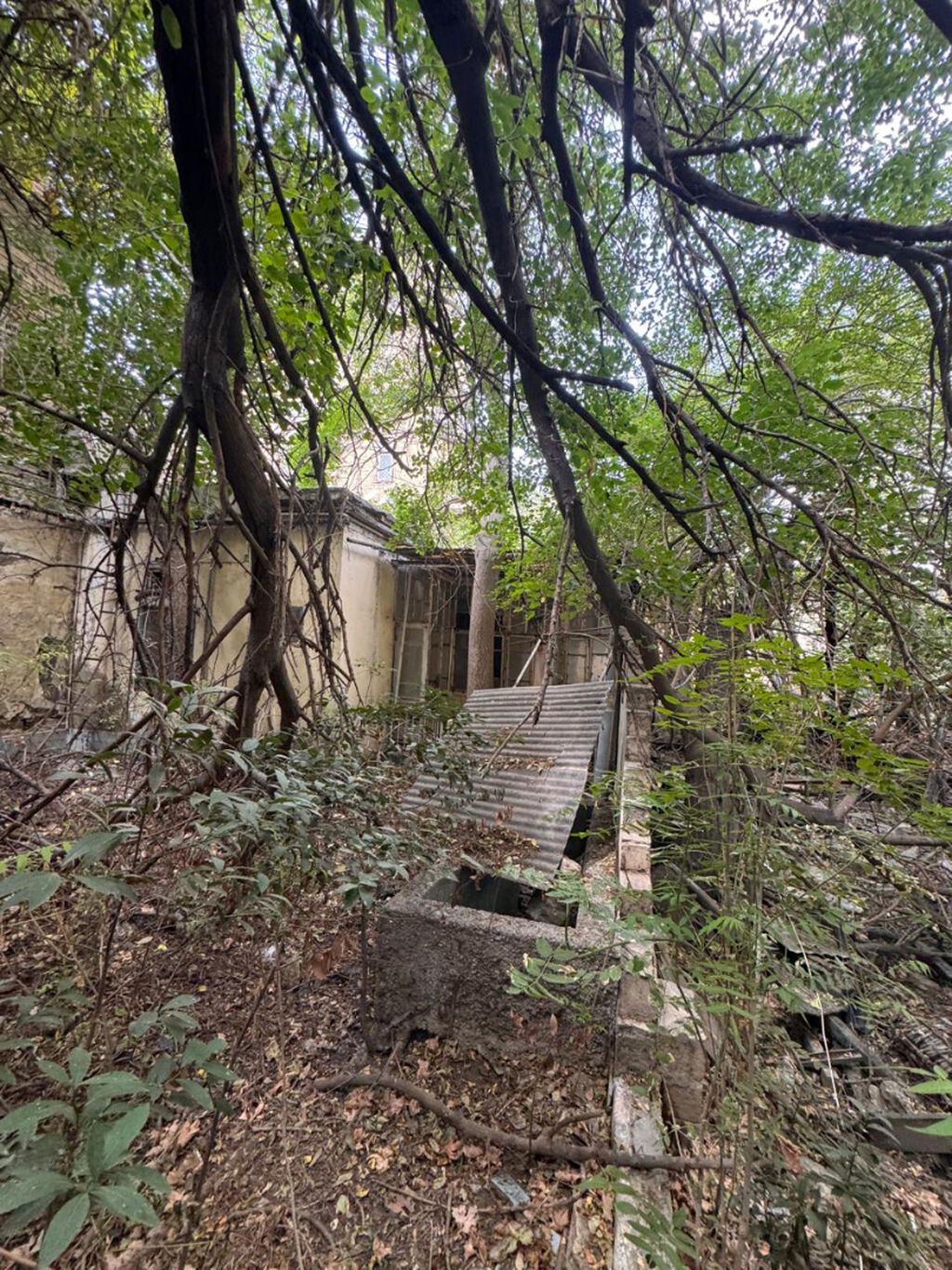 Torpaq, 9 sot, satılır, Bakı — 12