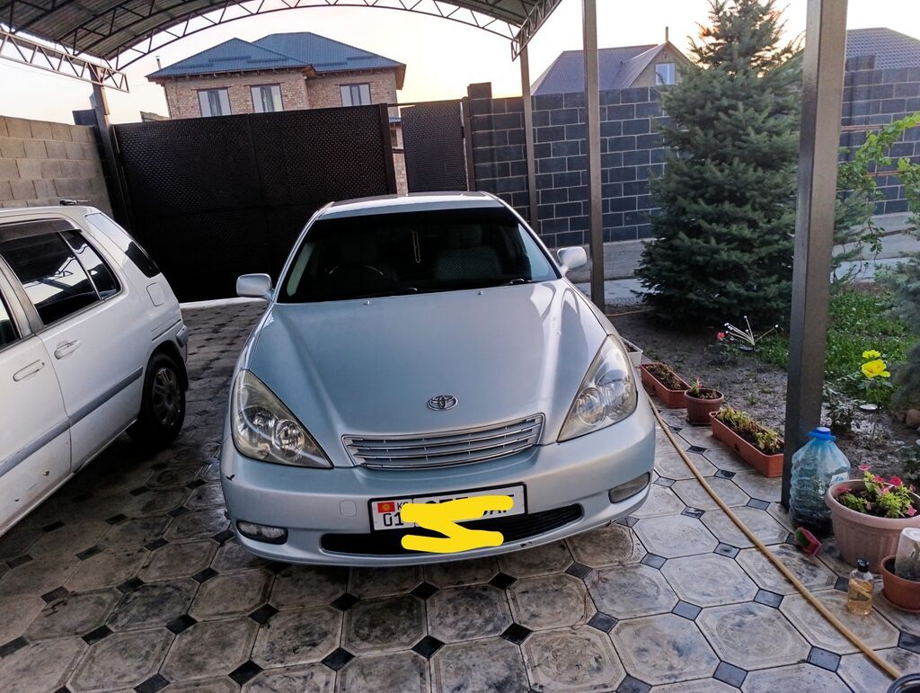 Toyota Windom