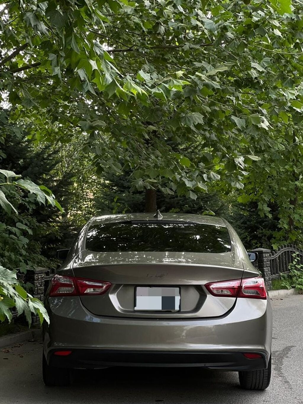 Chevrolet Malibu: Год 2020 Обем 1.5 турбо Пробег 160* км Сос: фото 4