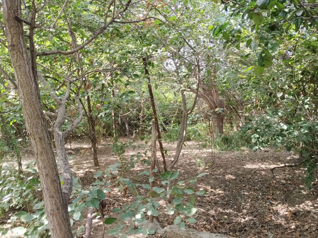 Ramana qəs. 3 otaqlı, 80 kv. m, Kredit yoxdur, Orta təmir