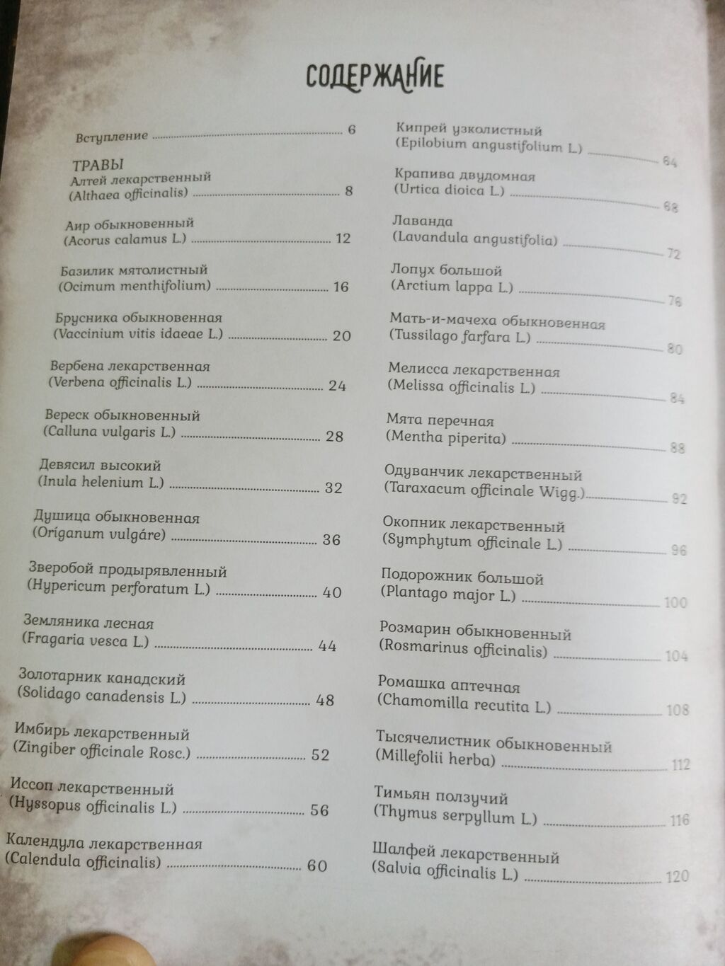 Книга: «Тайны и магия растений. Путеводитель по миру трав и деревьев: фото 3