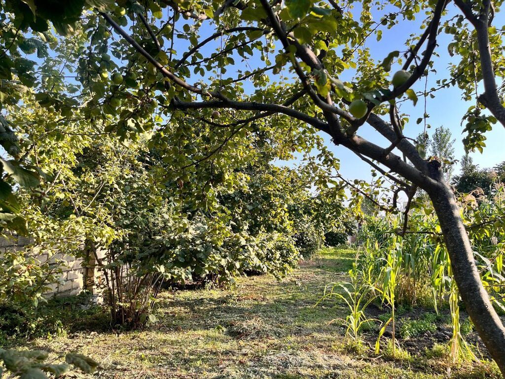5 sot, Tikinti, Mülkiyyətçi, Kupça (Çıxarış)