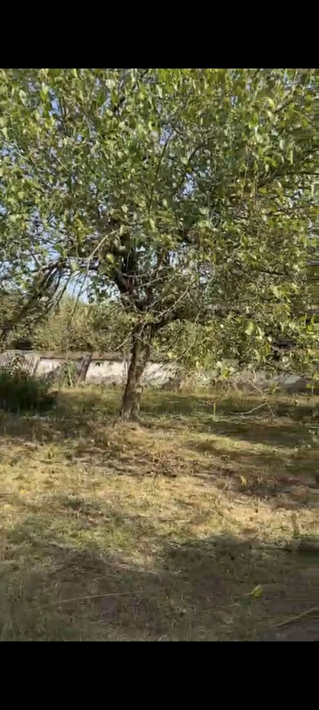 21 sot, Tikinti, Mülkiyyətçi, Kupça (Çıxarış)