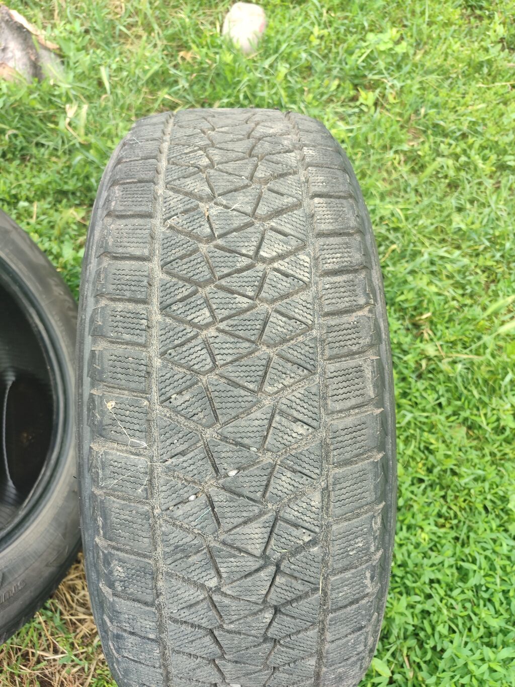 235/60 R18 Bridgestone Blizzak DM-V2 — зимние шины для кроссоверов и: фото 4