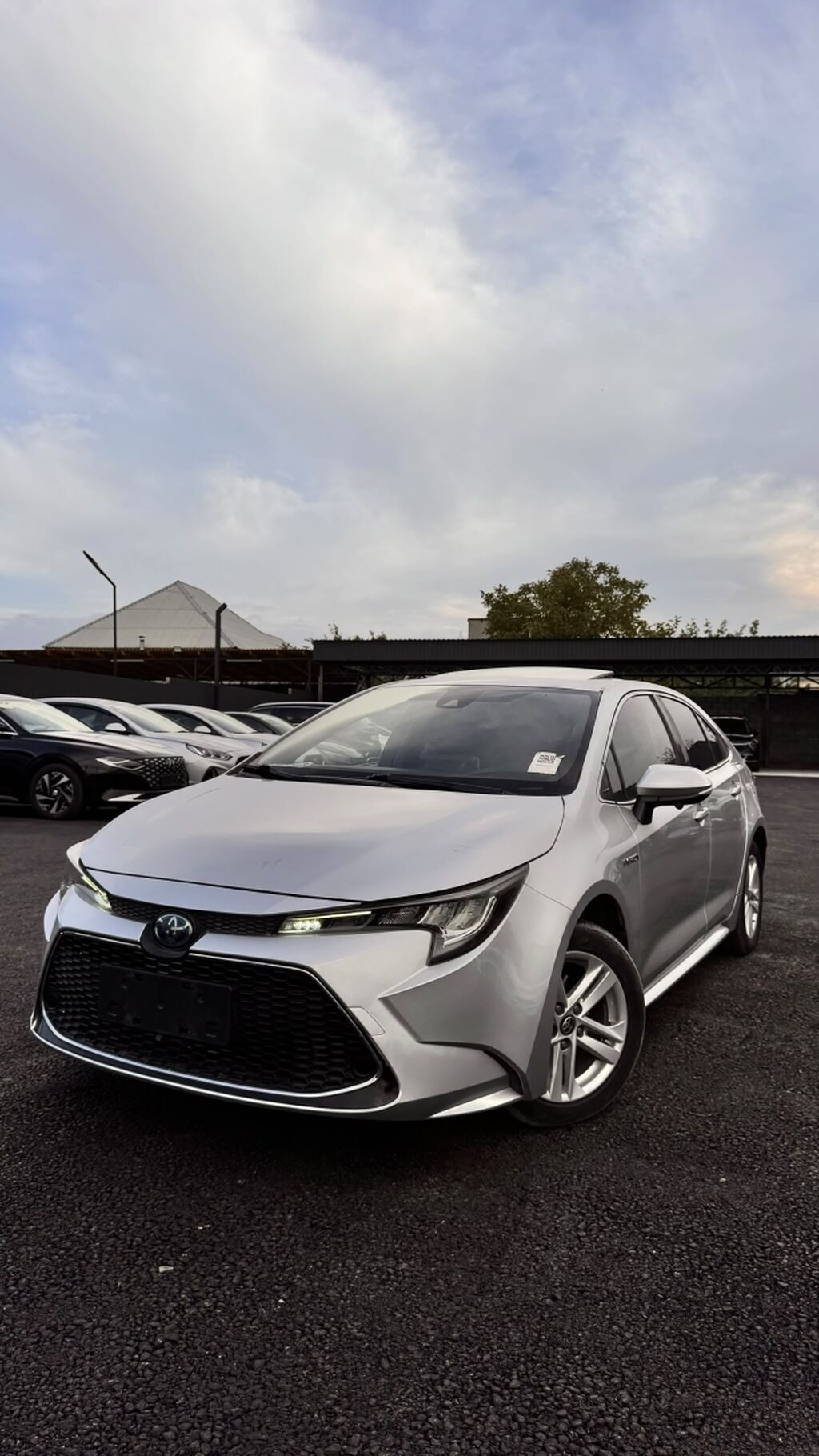 Toyota Corolla: 2019 г., 1.8 л, Автомат, Гибрид, Седан: фото 1