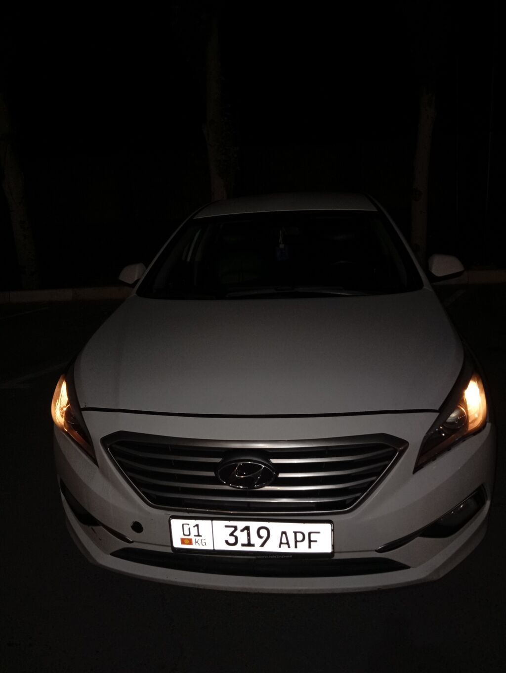 Hyundai Sonata: 2017 г., 2 л, Автомат, Газ, Седан: фото 1