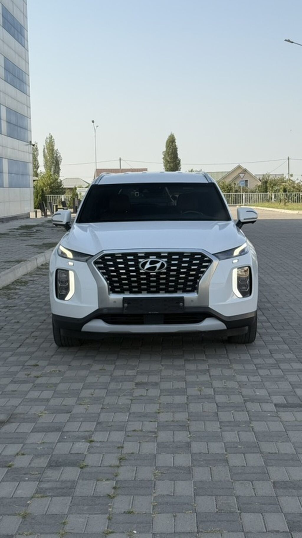 Hyundai Palisade: 2020 г., 2.2 л, Автомат, Дизель, Кроссовер: фото 3