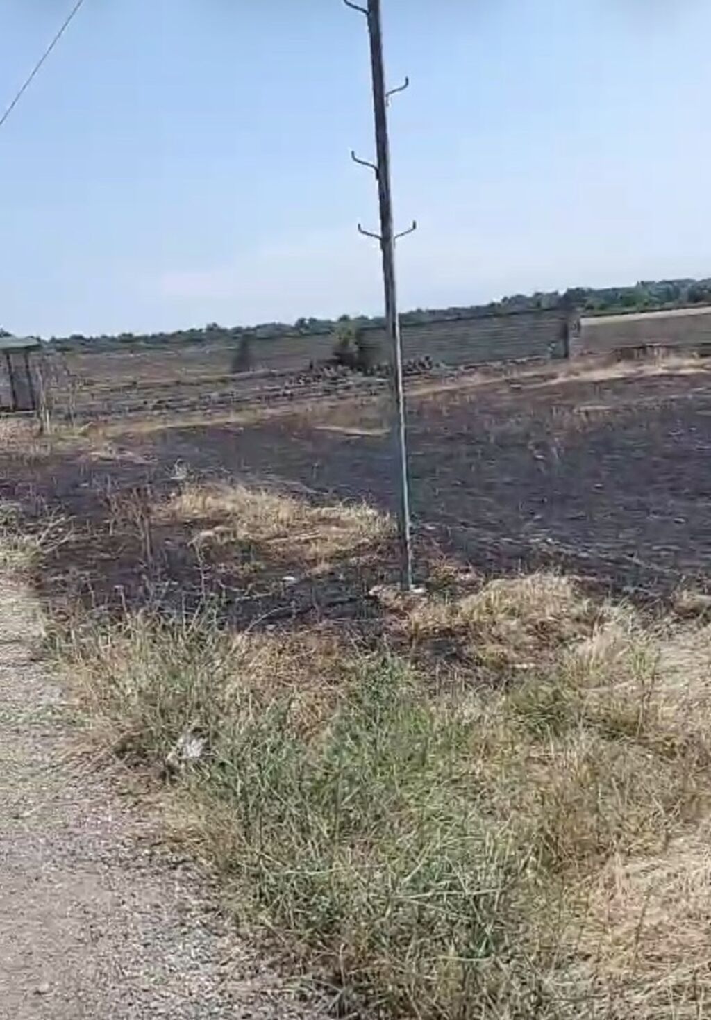 12 sot, Tikinti, Kupça (Çıxarış)