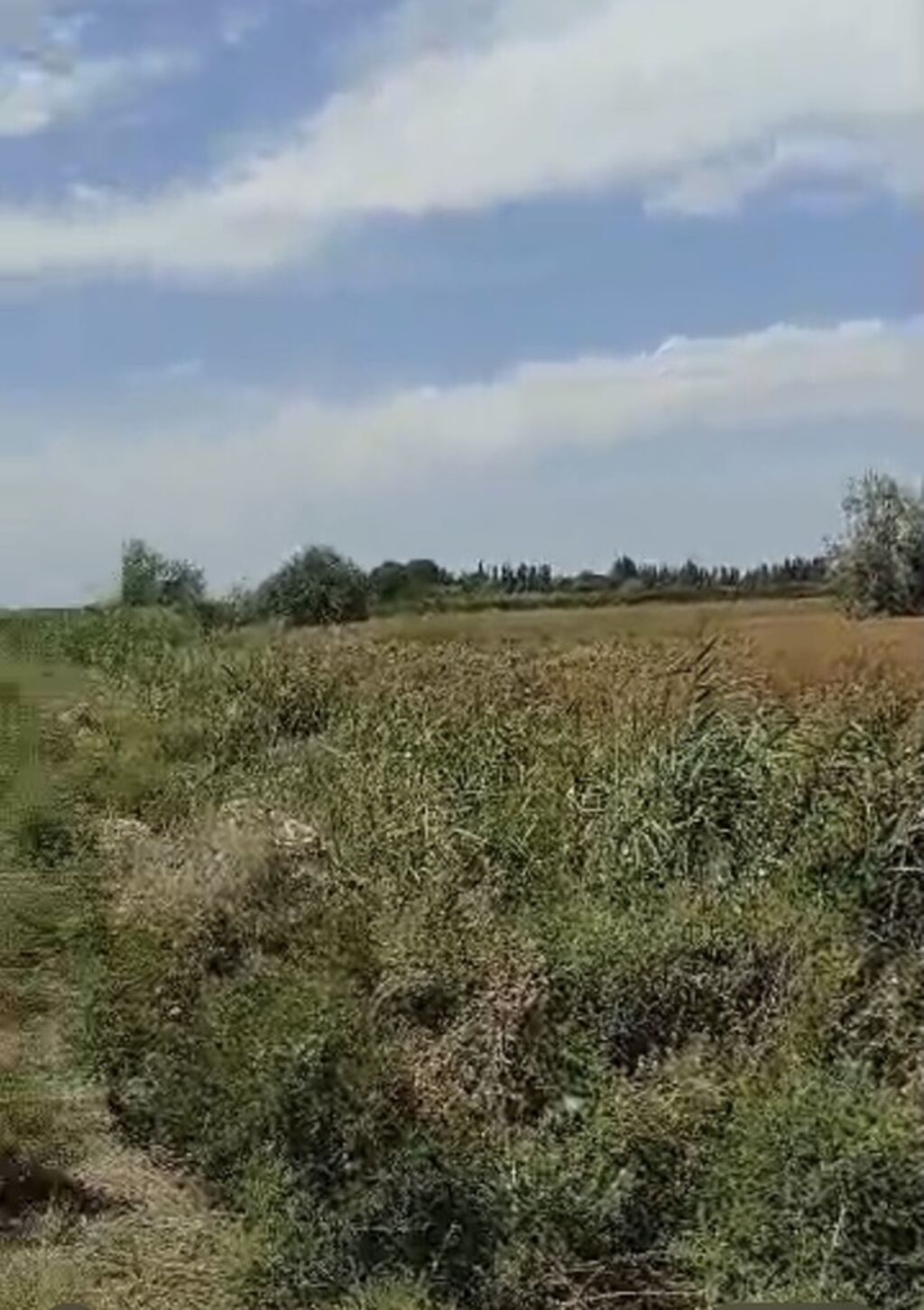 100 соток, Для сельского хозяйства: фото 3
