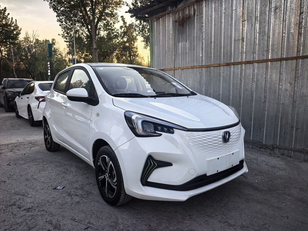 Changan Benben E-Star: 2024 г., Вариатор, Электромобиль, Хэтчбэк: фото 2