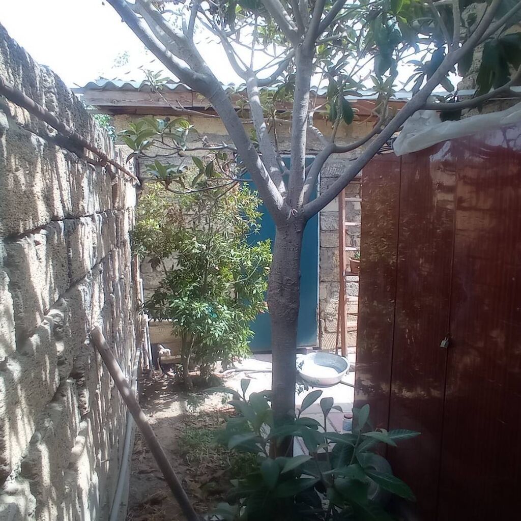 Binəqədi qəs. 5 otaqlı, 110 kv. m, Orta təmir