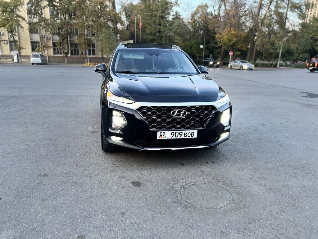 Hyundai Santa Fe: 2019 г., 2 л, Автомат, Бензин, Кроссовер: фото 1