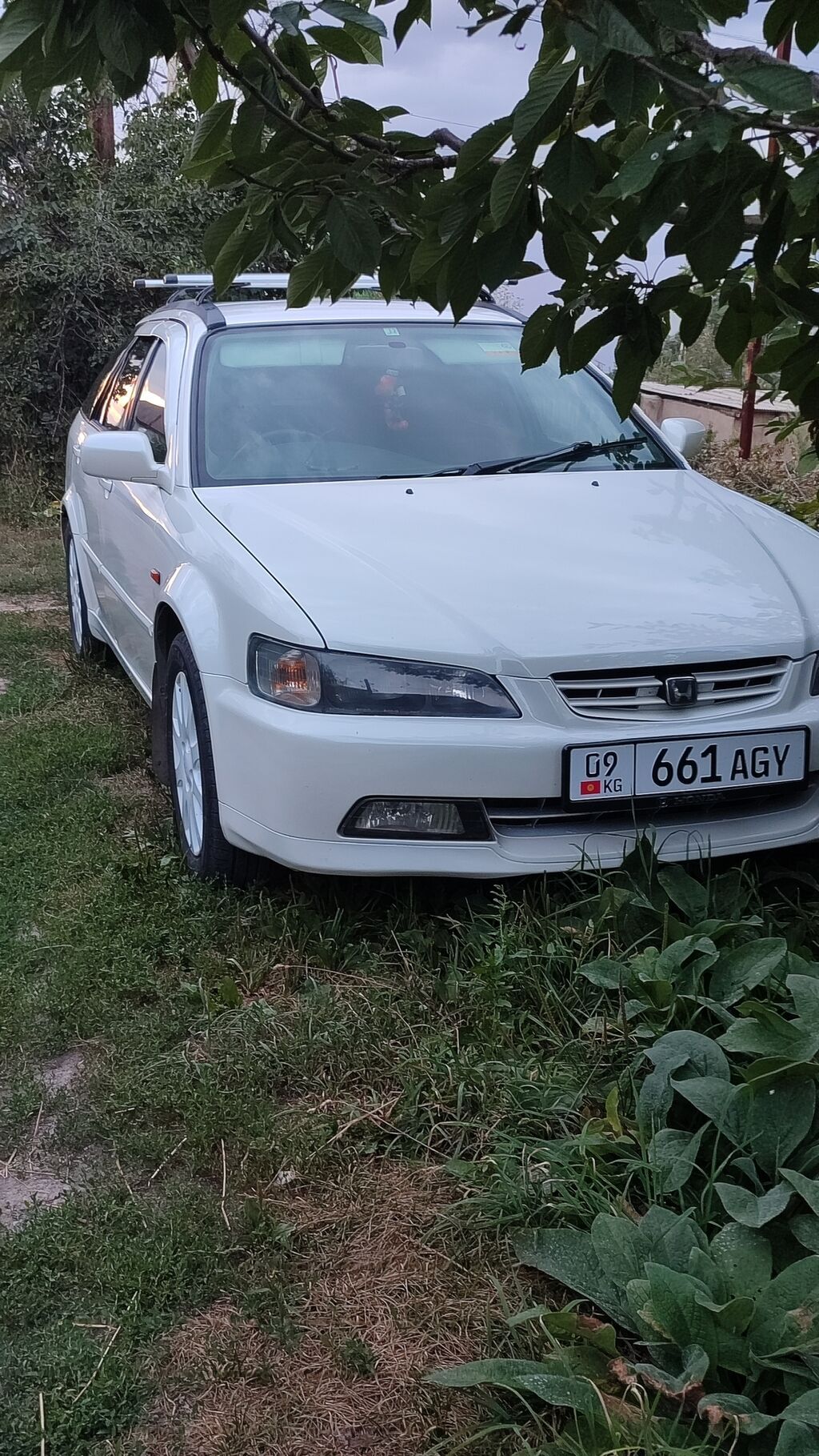 Honda Accord: 2000 г., 2.3 л, Автомат, Бензин, Универсал: фото 1