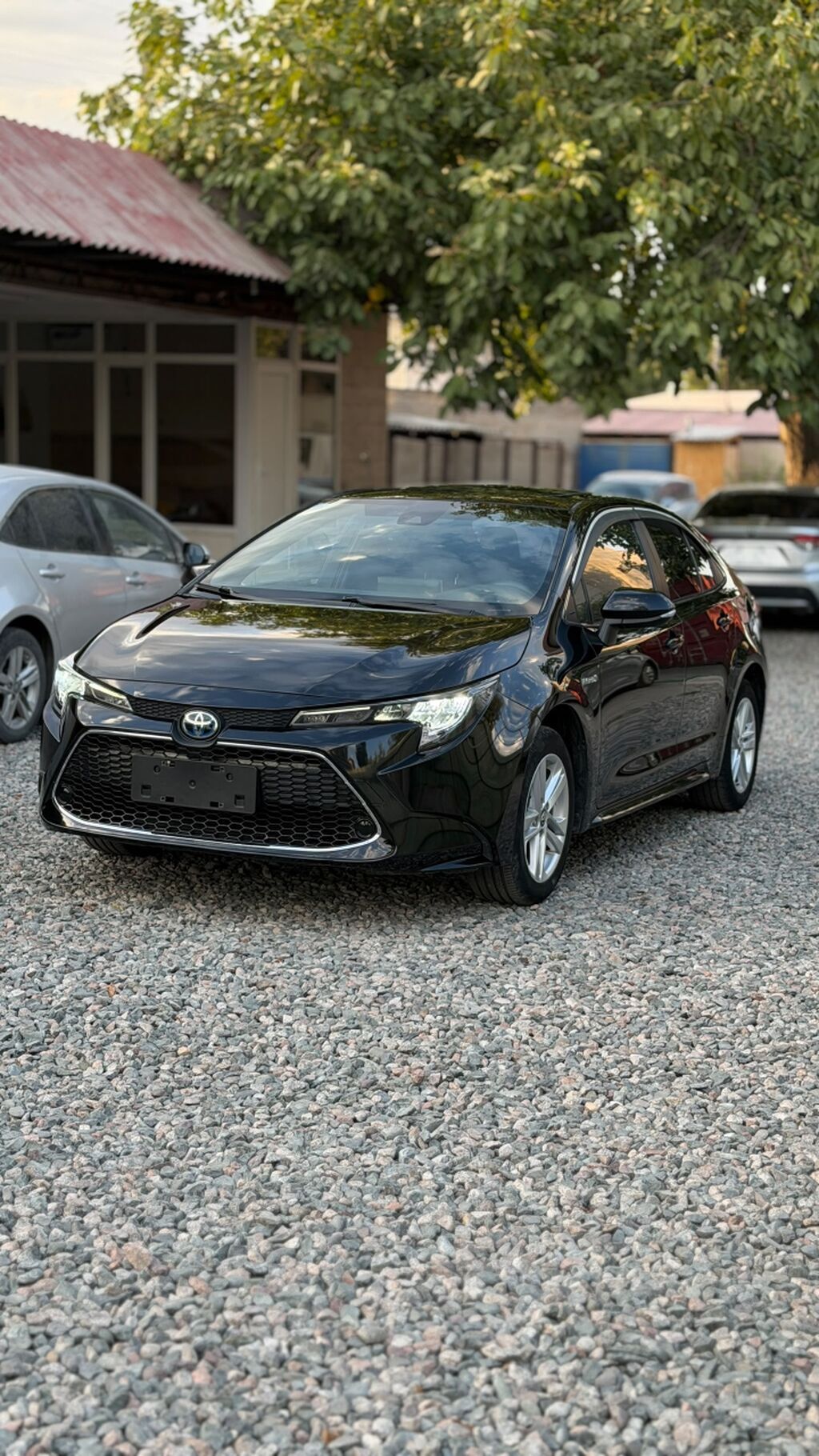 Toyota Levin: 2020 г., 1.8 л, Вариатор, Гибрид, Седан: фото 2