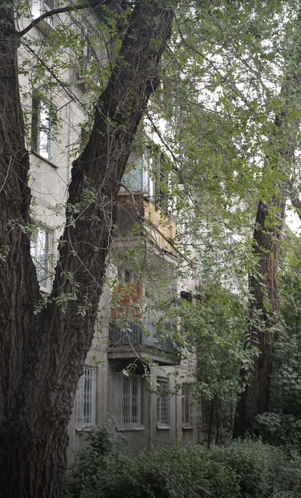 62 м², С мебелью частично: фото 3