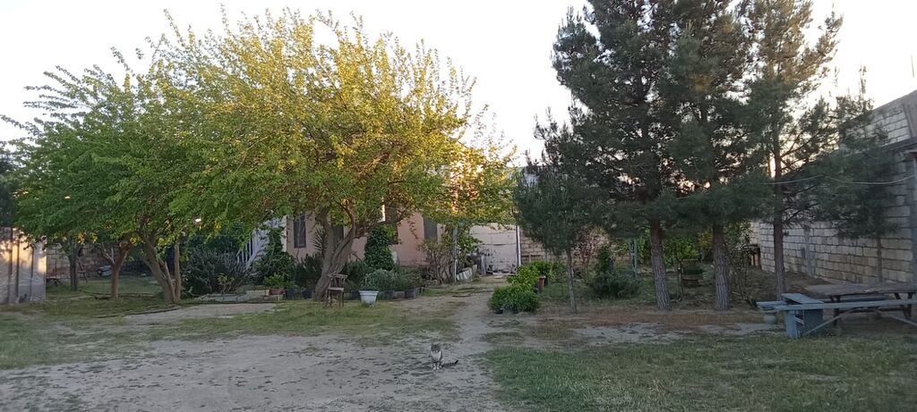 5 otaqlı, 110 kv. m, Orta təmir