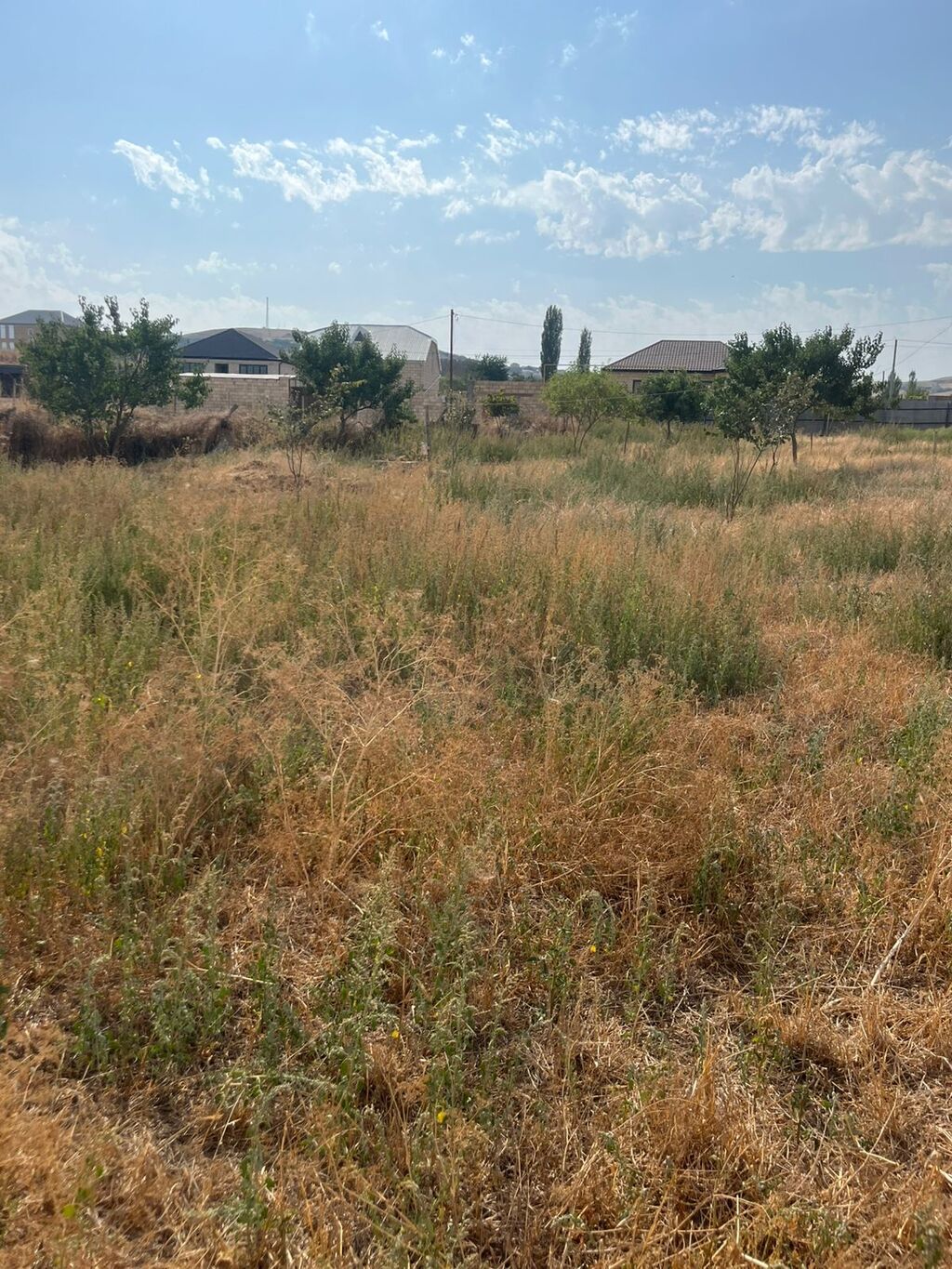 Tikinti