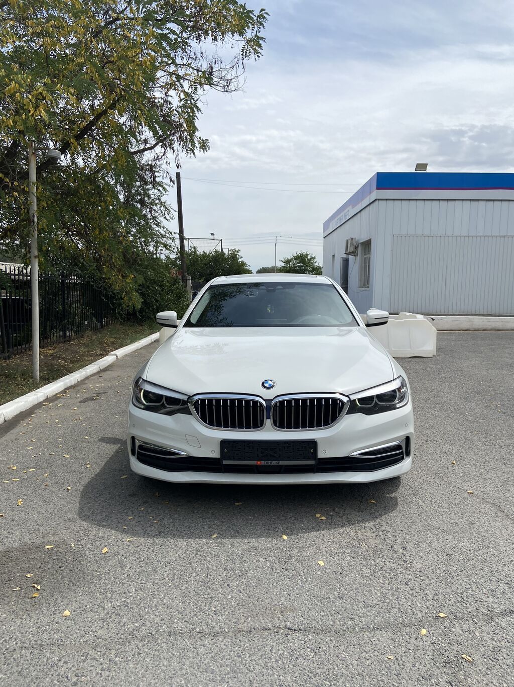 BMW 5 series: 2019 г., 2 л, Автомат, Бензин, Седан: фото 6