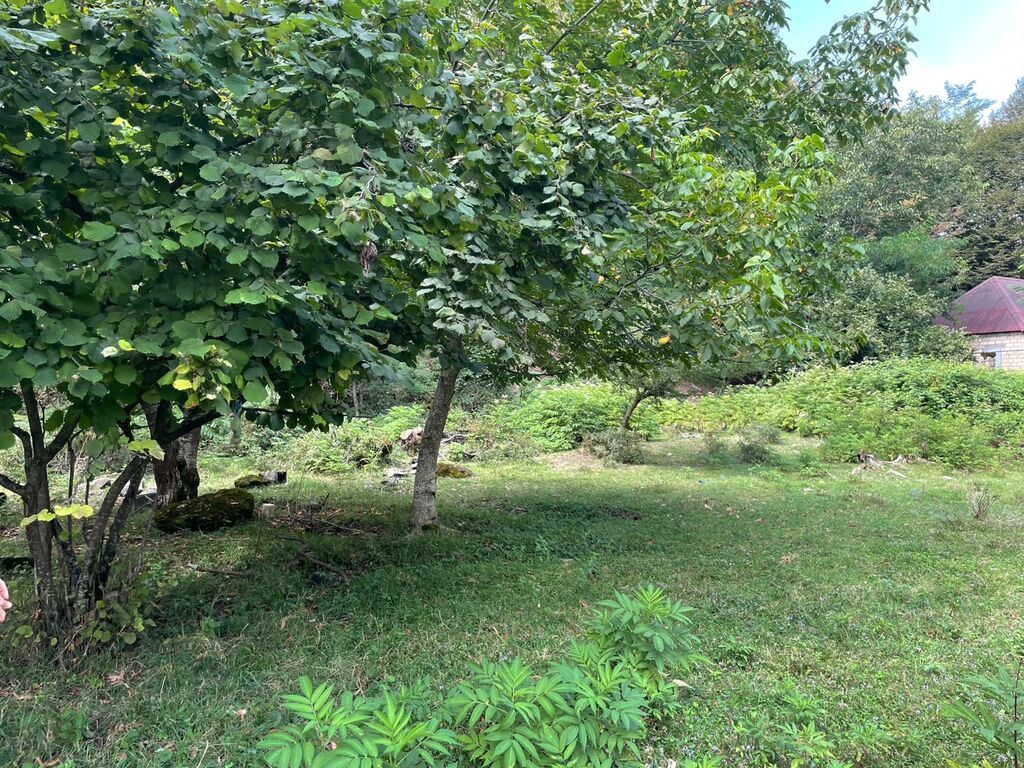 11 sot, Tikinti, Mülkiyyətçi, Kupça (Çıxarış)
