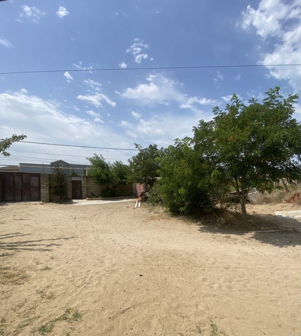 4 sot, Tikinti, Mülkiyyətçi, Kupça (Çıxarış)