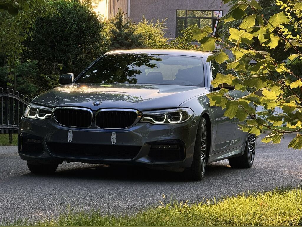 BMW 5 series: 2019 г., 2 л, Автомат, Бензин, Седан: фото 3