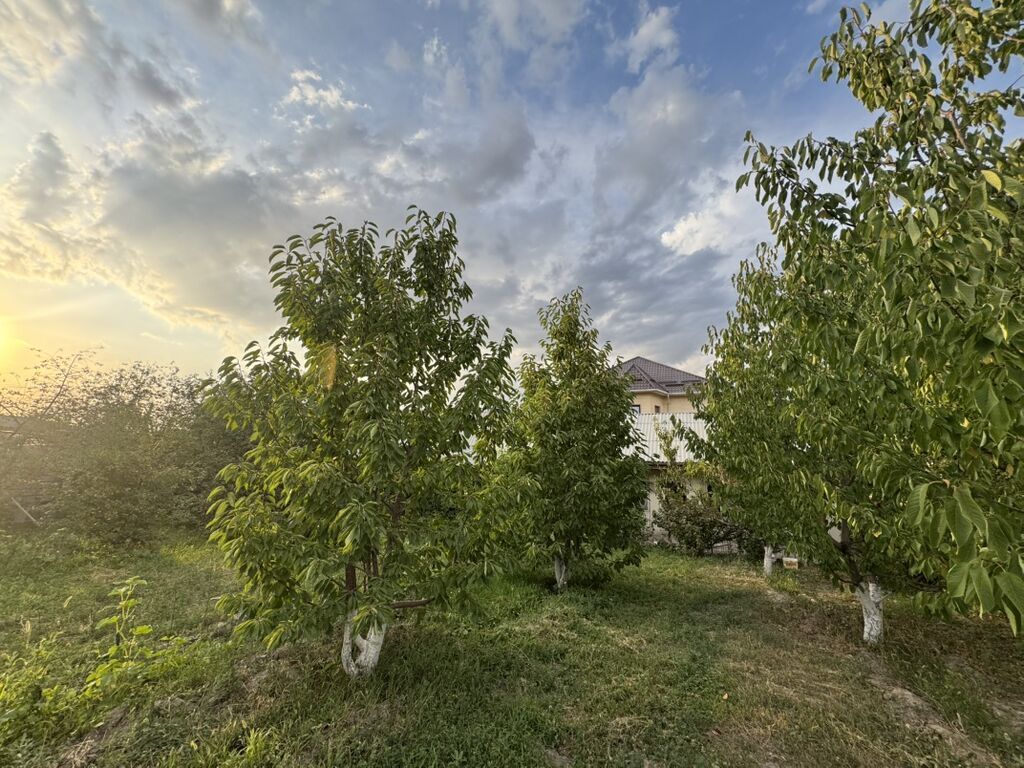 Продаётся одноэтажный дом с большой крытой террасой и двором Арча: фото 8