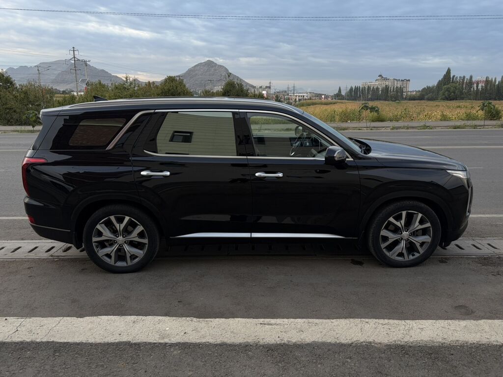 Hyundai Palisade: 2019 г., 2.2 л, Автомат, Дизель, Кроссовер: фото 3