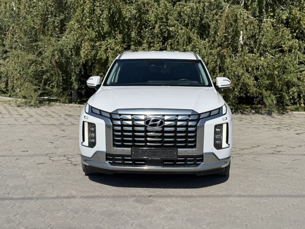 Hyundai Palisade: 2023 г., 2.2 л, Автомат, Дизель, Кроссовер: фото 1