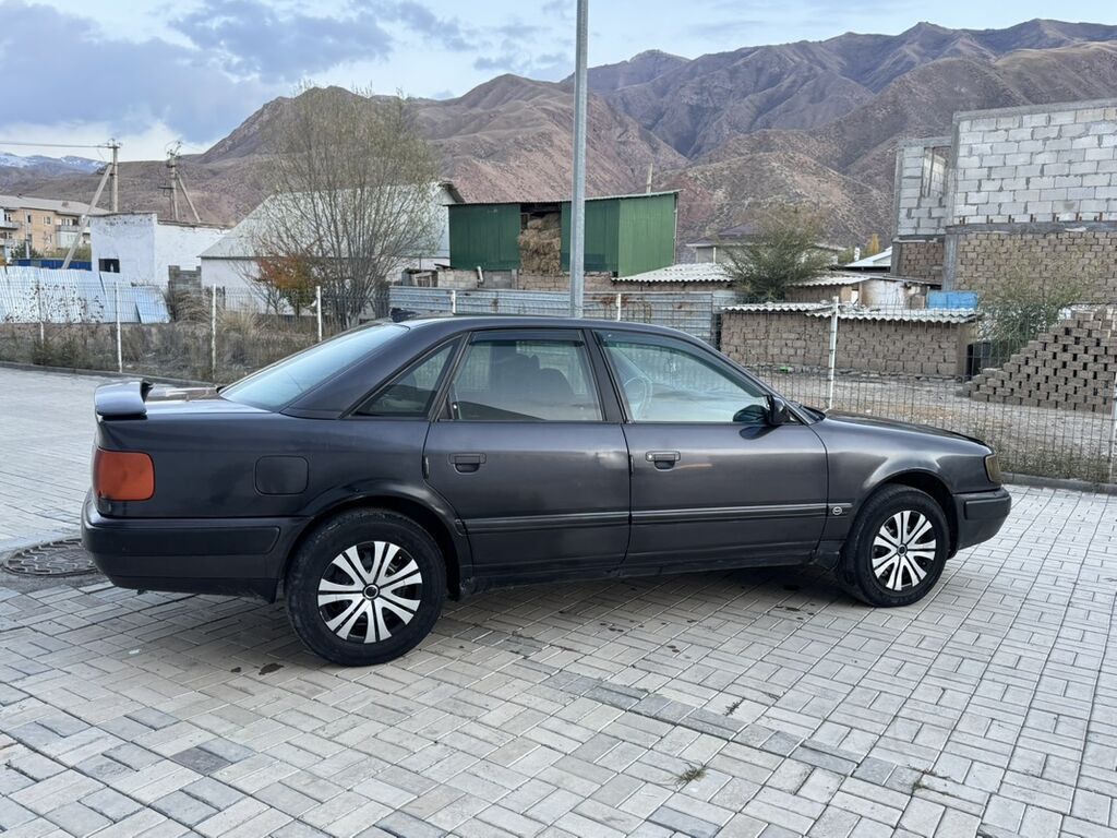 Audi 100: 1993 г., 2.8 л, Механика, Газ, Седан: фото 6