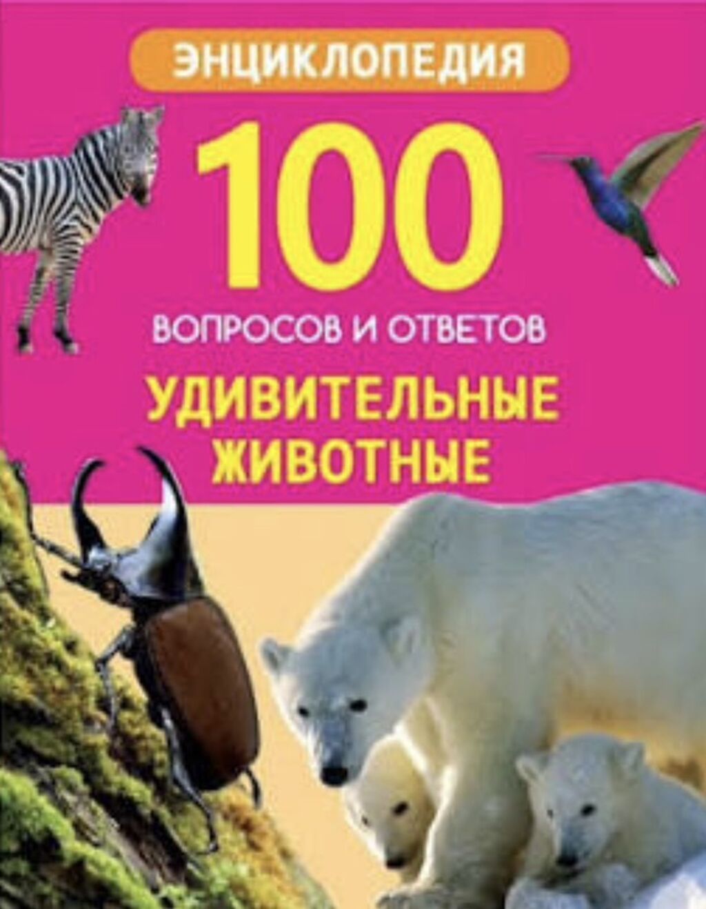Энциклопедия «100 вопросов и ответов. Удивительные животные» - Ярко