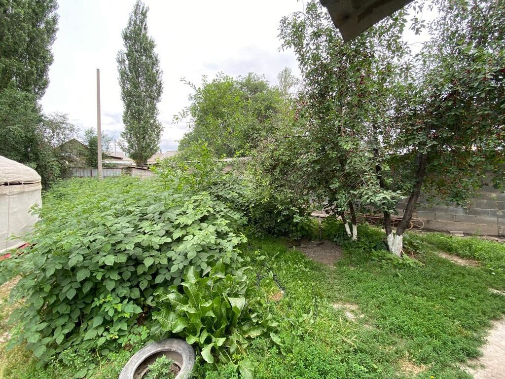 Продам земельный участок 8 соток в Нижнем Ороке: фото 7