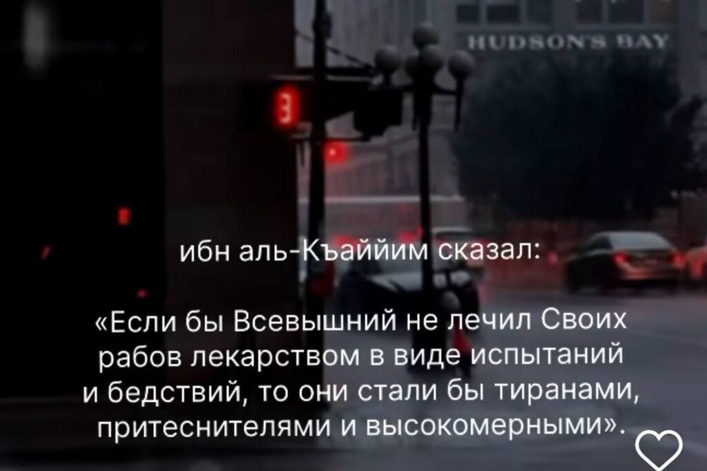 Опытные грузчики, разнорабочие: фото 4