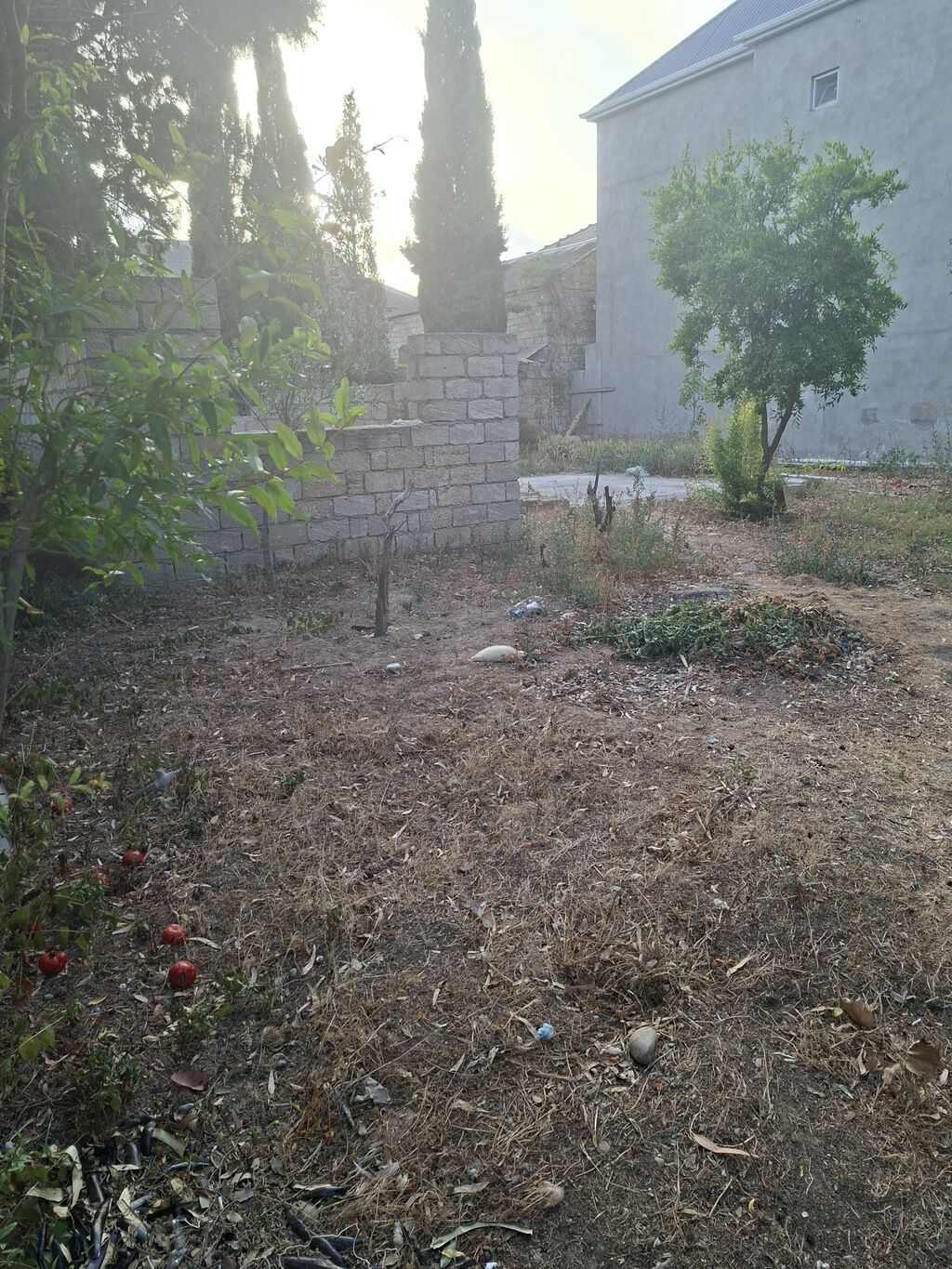 3 sot, Tikinti, Kupça (Çıxarış)