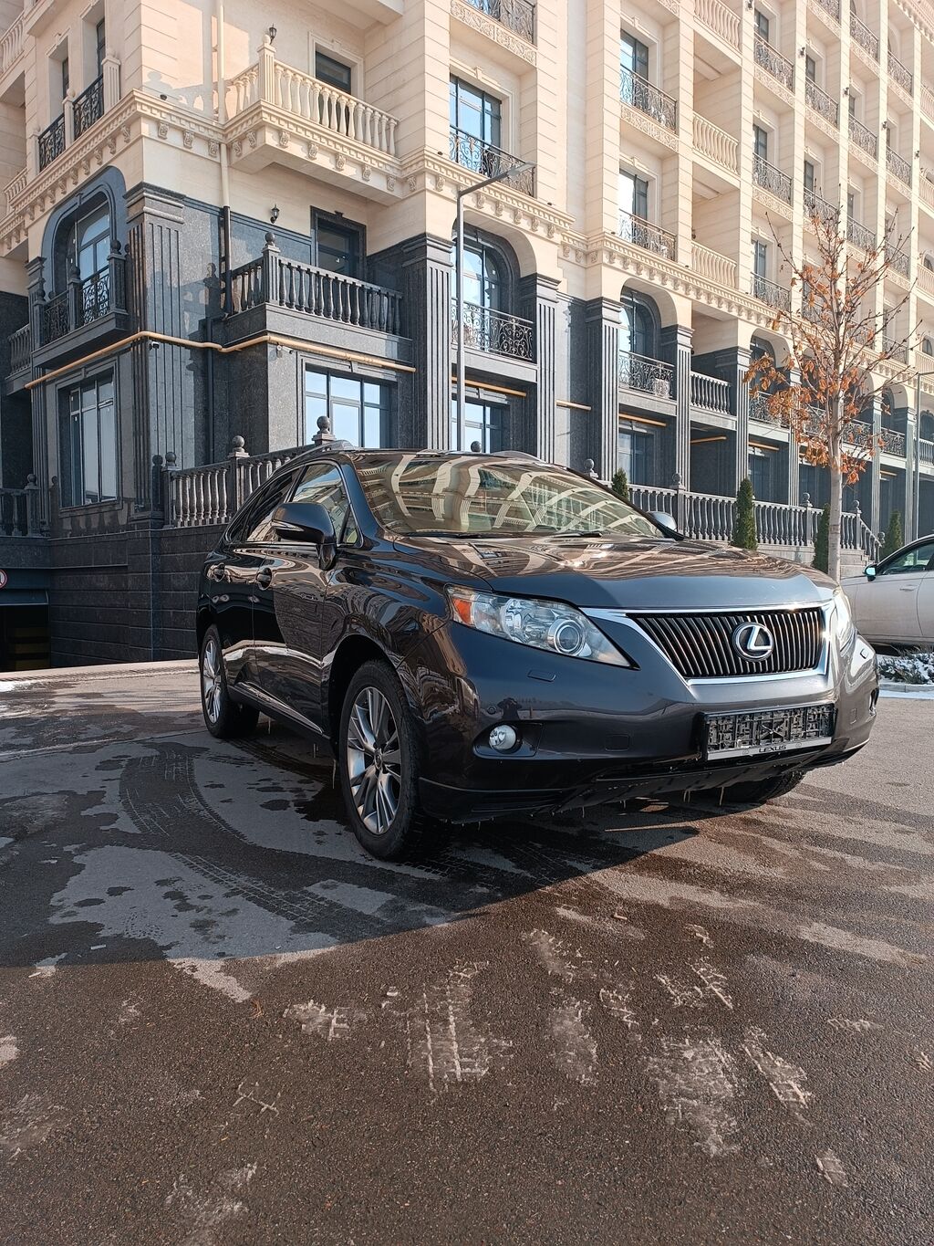 Lexus RX: 2010 year, 3.5 l, Automatic, Gas, Crossover