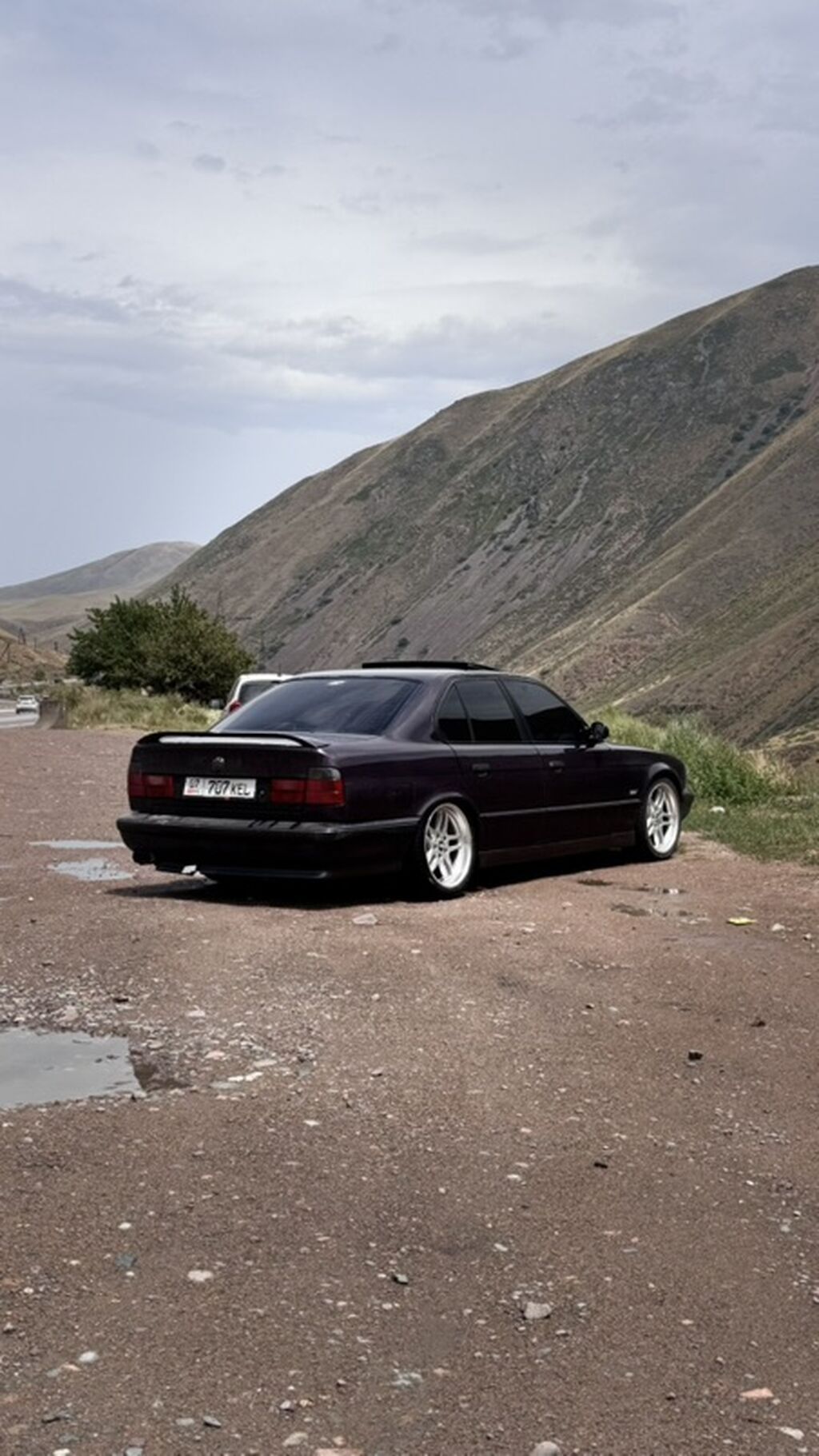BMW 5 series: 1995 г., 4.4 л, Механика, Бензин, Седан: фото 7