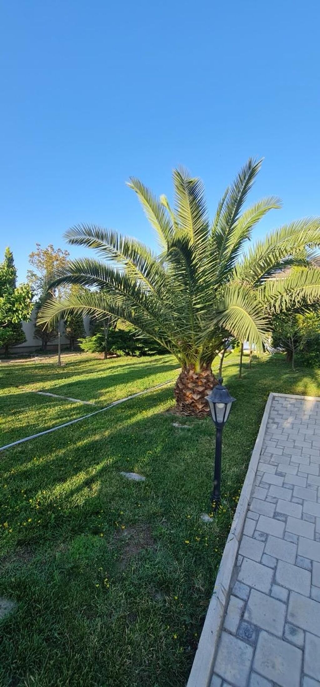 7-room house for rent in Mərdəkan, 350 m², 11 000 AZN/mo, photo 2 / 12
