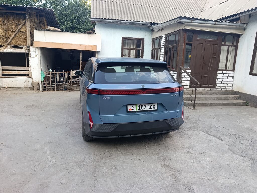 Электромобиль VGV VX7 (кроссовер, RWD) Основные особенности: -: фото 3