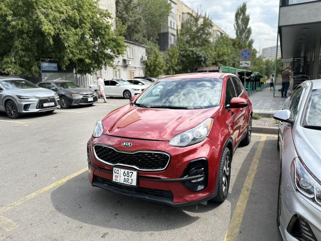 Kia Sportage: 2020 г., 2.4 л, Автомат, Бензин, Кроссовер: фото 1