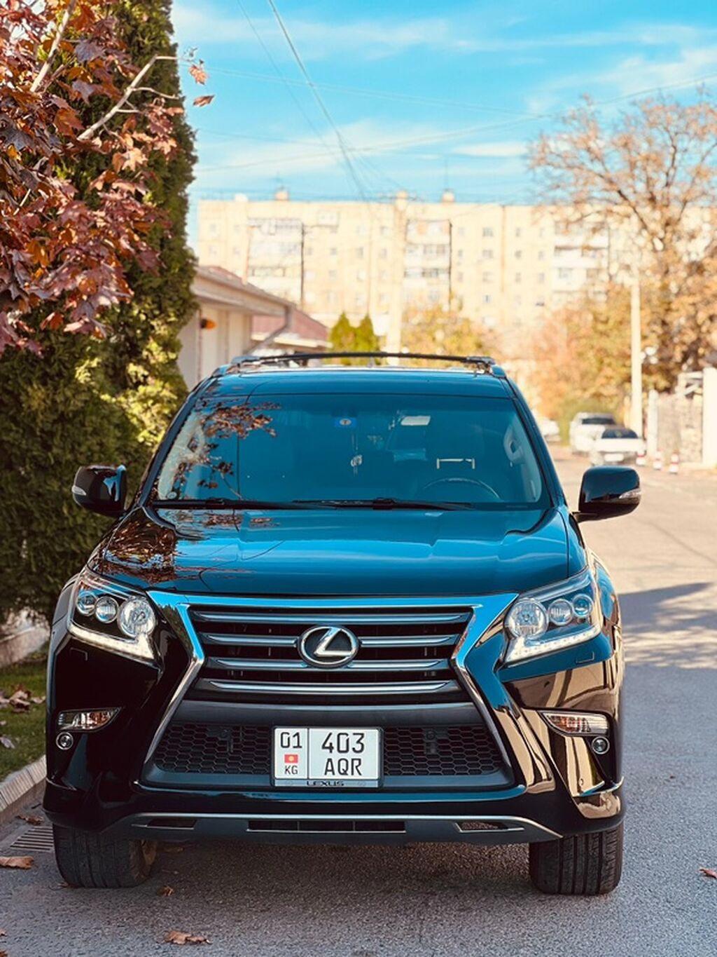 Lexus GX: 2017 г., 4.6 л, Автомат, Бензин, Внедорожник: фото 8