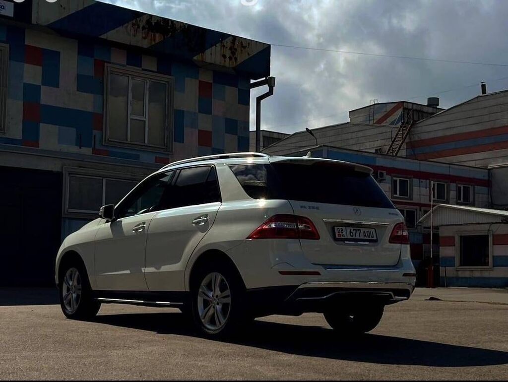 Mercedes-Benz M-Class: 2013 г., 3 л, Автомат, Дизель, Кроссовер: фото 3