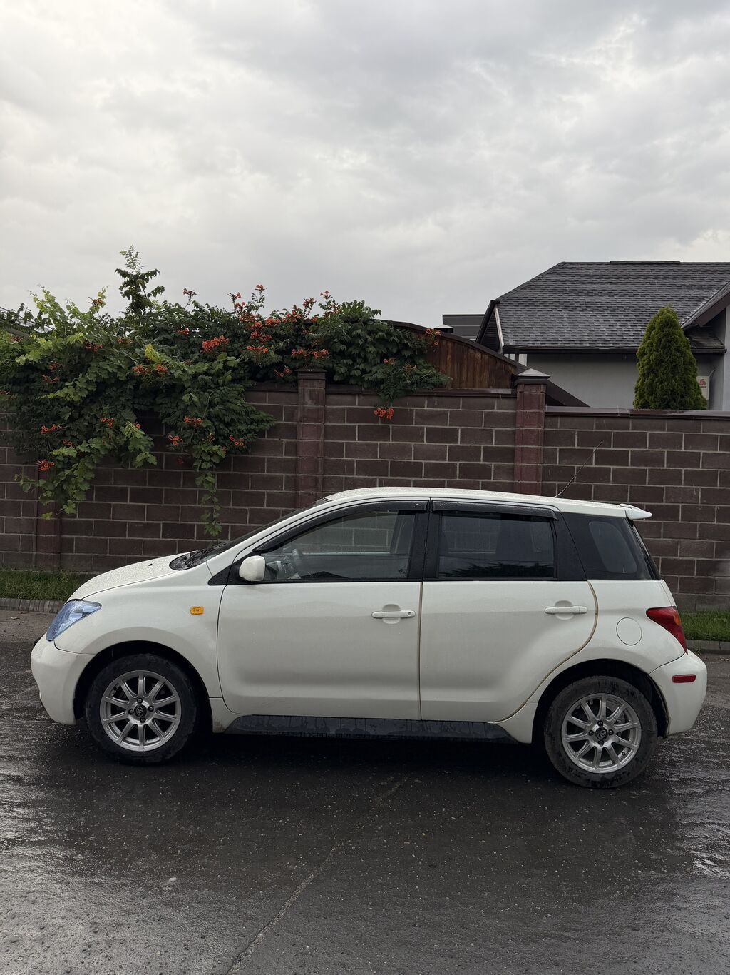 Toyota Ist: 2004 г., 1.5 л, Автомат, Бензин, Лифтбек: фото 7