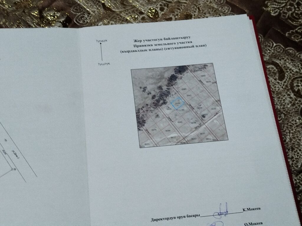 5 соток, Для бизнеса, Красная книга: фото 4