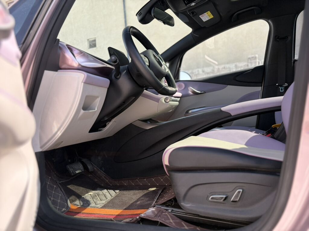 BYD Dolphin: 2022 г., 0.1 л, Автомат, Электромобиль, Хэтчбэк: фото 6