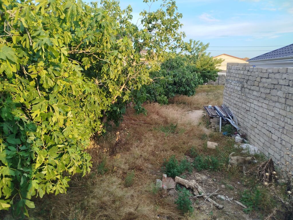 4 sot, Tikinti, Mülkiyyətçi, Kupça (Çıxarış)
