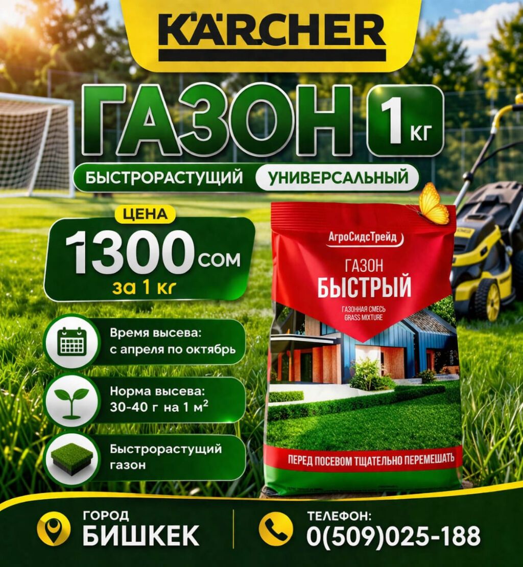 Газонокосилка стандарт электрические Семена газона Газонная трава: фото 2