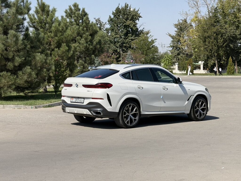 BMW X6: 2020 г., 3 л, Автомат, Бензин, Кроссовер: фото 3