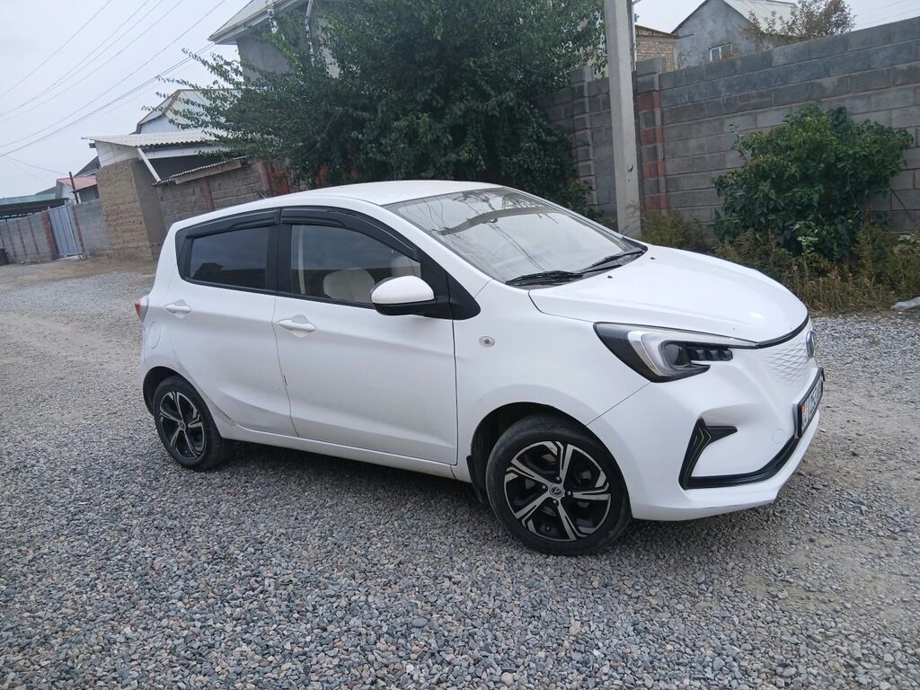 Changan Benben E-Star: 2020 г., Электромобиль, Хэтчбэк: фото 6