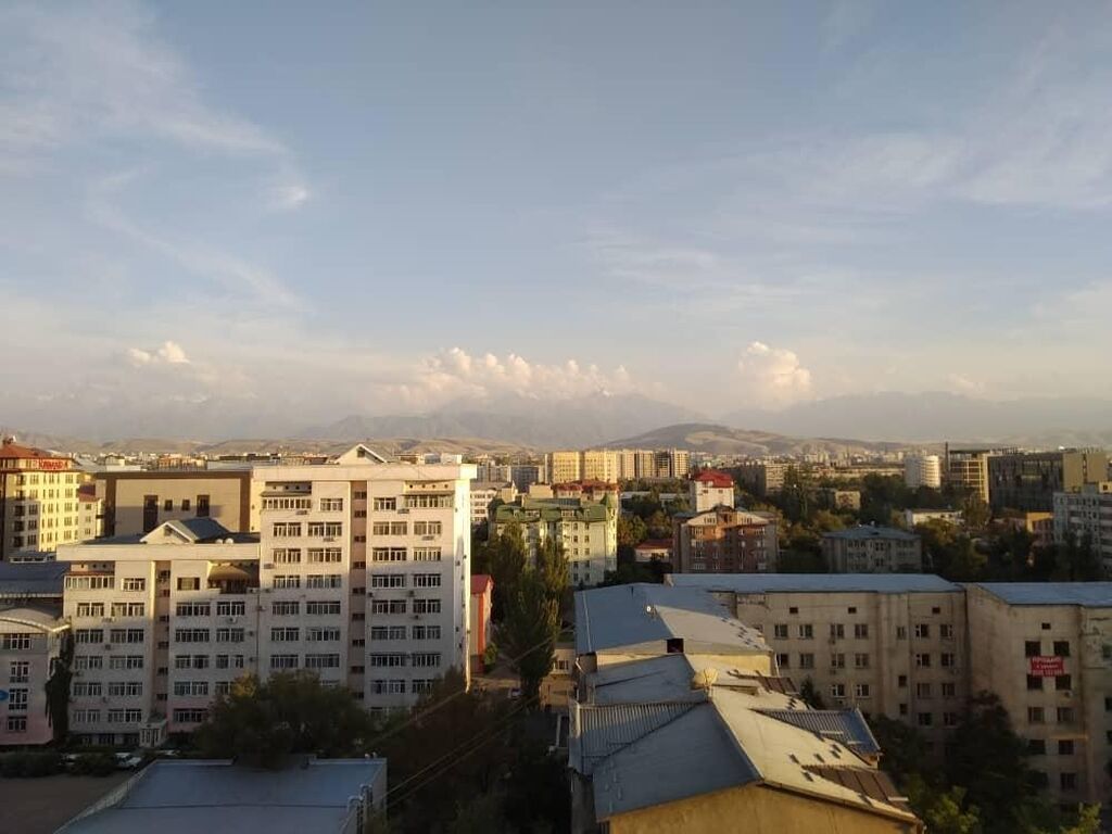 2 комнаты, Бишкек Парк ТРЦ, Душевая кабина, Бронь, Бытовая техника, фото 8