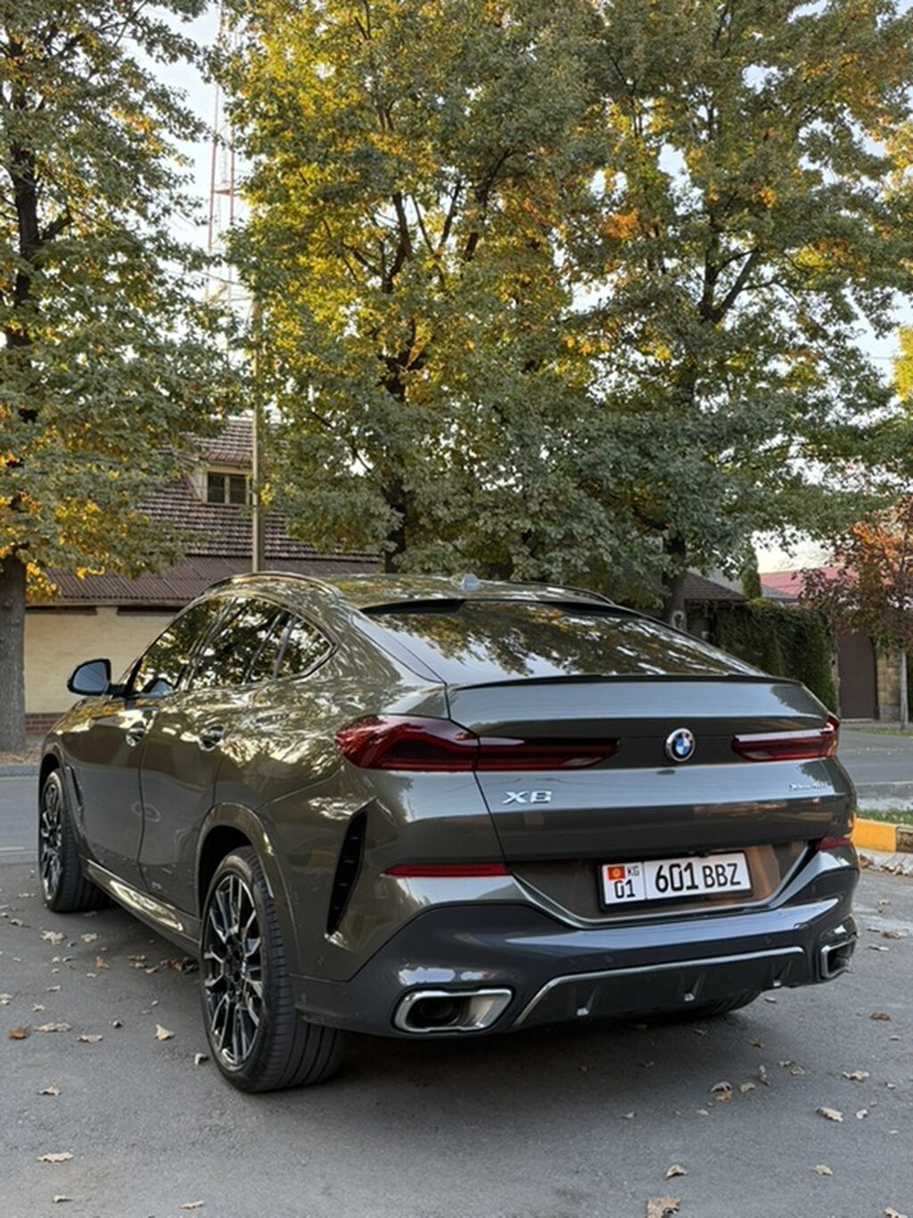 BMW X6: 2023 г., 3 л, Автомат, Бензин, Кроссовер: фото 5